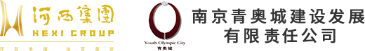 南京青奥城建设发展有限责任公司