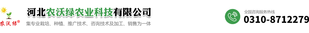 河北生物有机肥