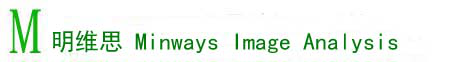 明维思Mindways