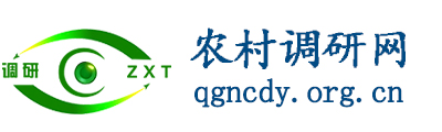 农村调研网