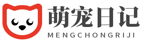 打开宠物世界大门