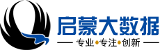 软件开发