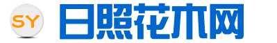 日照花卉市场