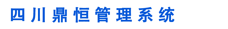 四川鼎恒咨询集团全信息化咨询管理系统