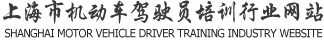 上海市机动车驾驶员培训行业
