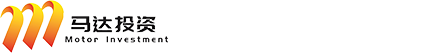 上海马达投资有限公司