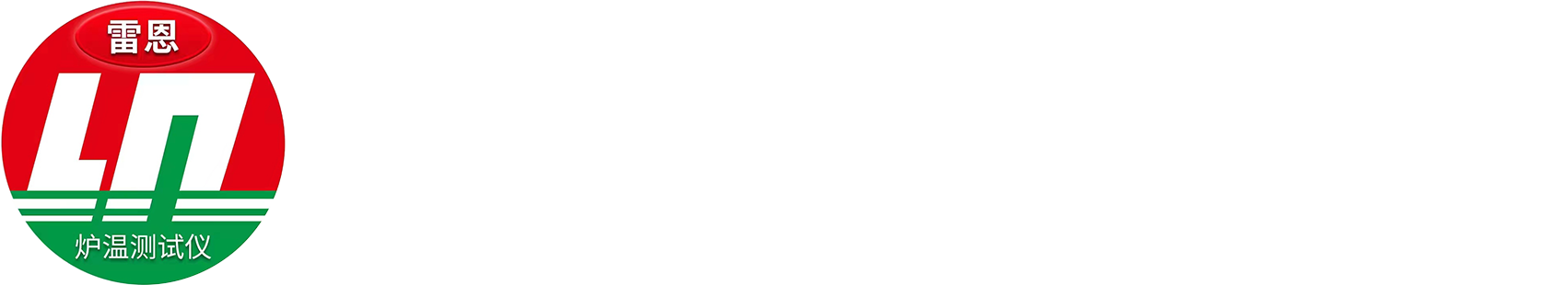 雷恩炉温测试仪官网