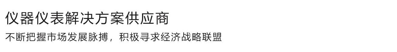 天长市恩赛斯仪表