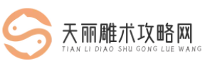 天丽雕术攻略网