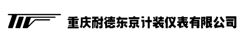 重庆耐德东京计装仪表有限公司
