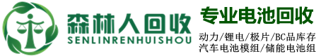 东莞市森林人环保工程服务有限公司，汽车电池回收，三元电池回收，磷酸铁锂电池回收，钴酸锂电池回收，电池正极负极回收，电池模组回收，锂电回收，三元电池回收公司，电池回收公司