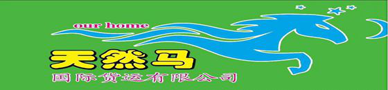 广州天然马国际货运代理有限公司