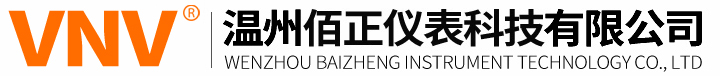 温州佰正仪表科技有限公司