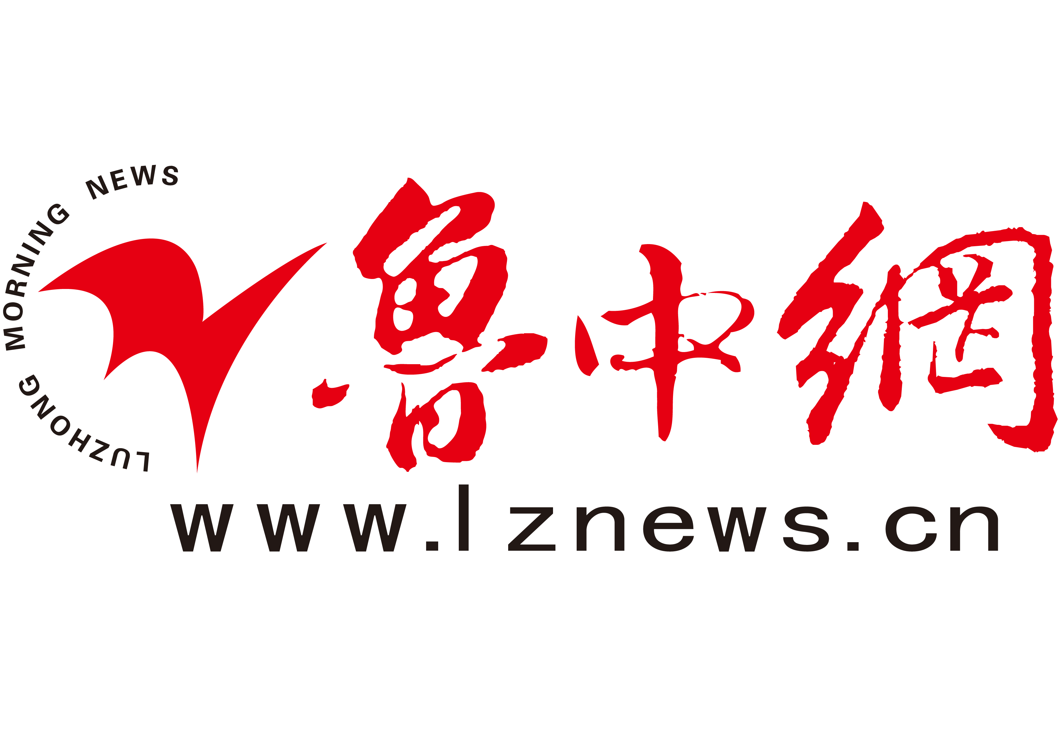 山东大鲁网络有限公司