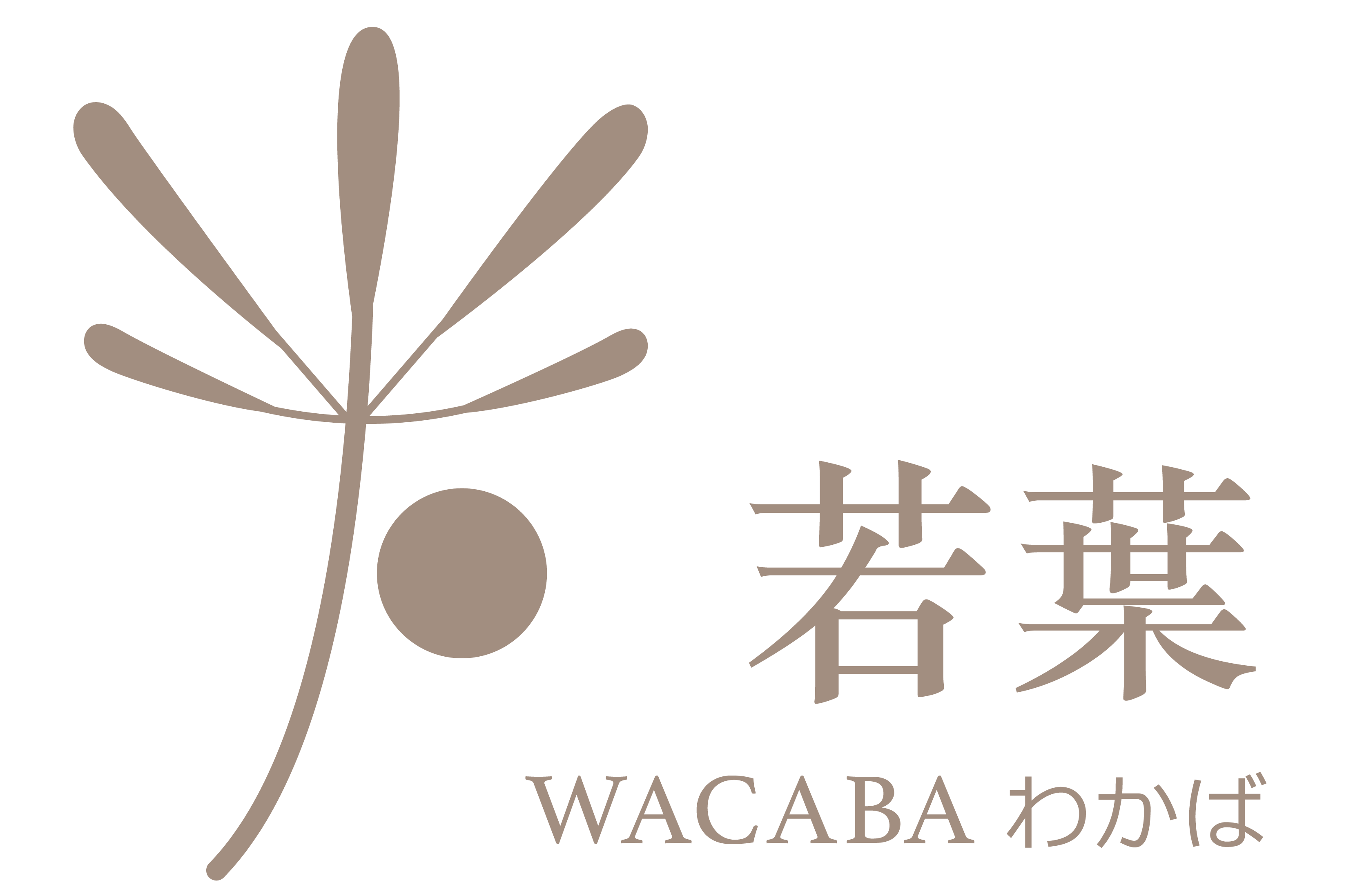 wacaba若叶
