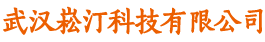 武汉崧汀科技有限公司
