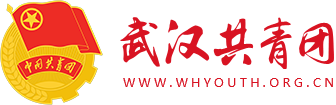 共青团武汉市委员会