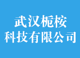 武汉栀桉科技有限公司