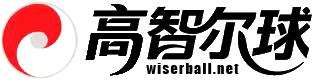 高智尔球