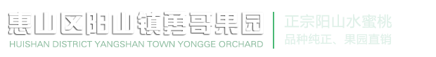 惠山区阳山镇勇哥果园