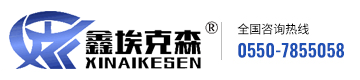 安徽埃克森仪表有限公司