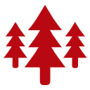 小红森特价电影票话费充值优惠券