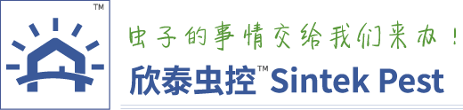 上海建筑白蚁防治