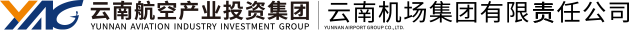 云南航空产业投资集团