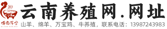 永平县万宝山养鸡专业合作社