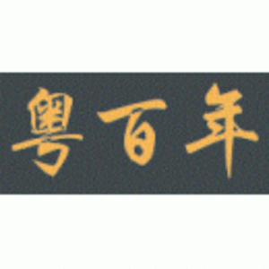 粤百年投资控股有限公司