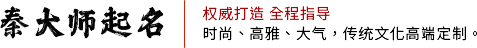 秦大师起名网