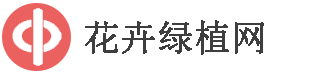 花卉绿植网