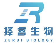 上海择睿生物科技有限公司