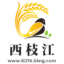 西枝江,www.xizhijiang.com