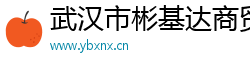 武汉市彬基达商贸有限公司