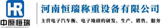河南恒瑞称重设备